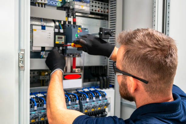 Best Electric Panel Repair  in Petersburg, AK