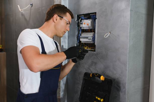 Best Electrical Troubleshooting Services  in Petersburg, AK