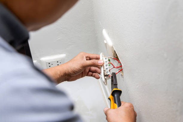 Best Electrician for Home Renovation  in Petersburg, AK