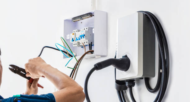 Best Ceiling Fan Installation Electrician  in Petersburg, AK